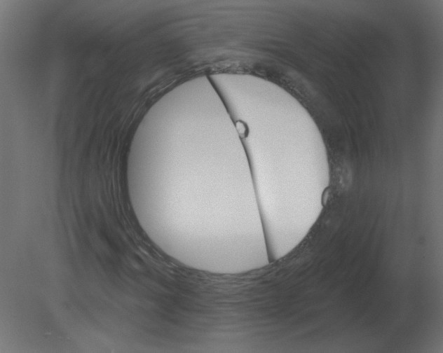 X0000080790964200701122143