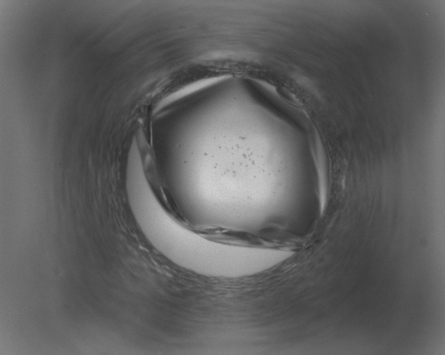 X0000080790965200701122143