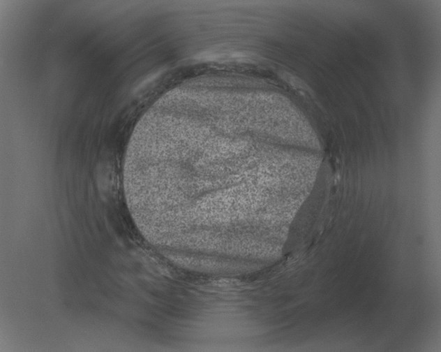 X0000080790966200701122143