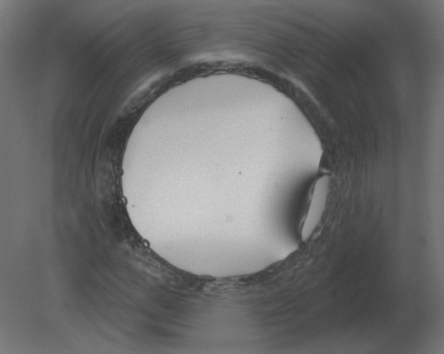 X0000080790967200701122143