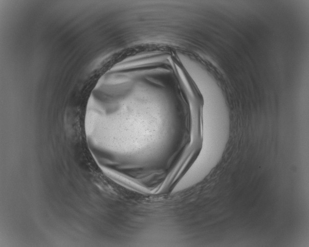 X0000080790968200701122143