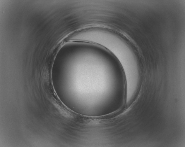 X0000080790969200701122143