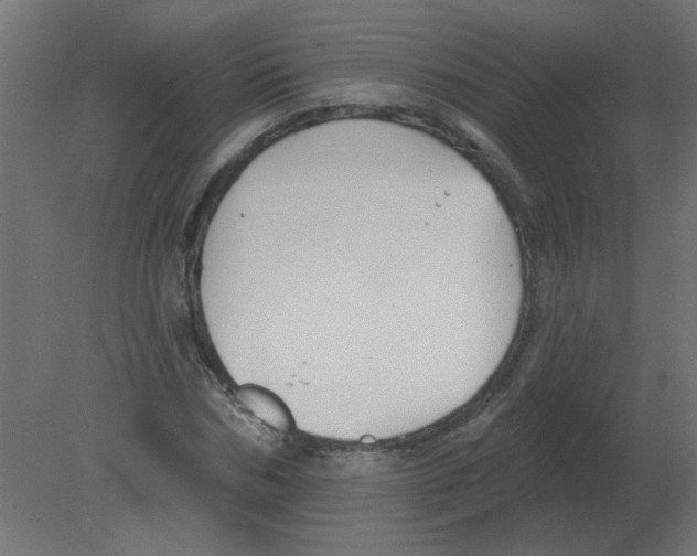 X0000080790970200701122143