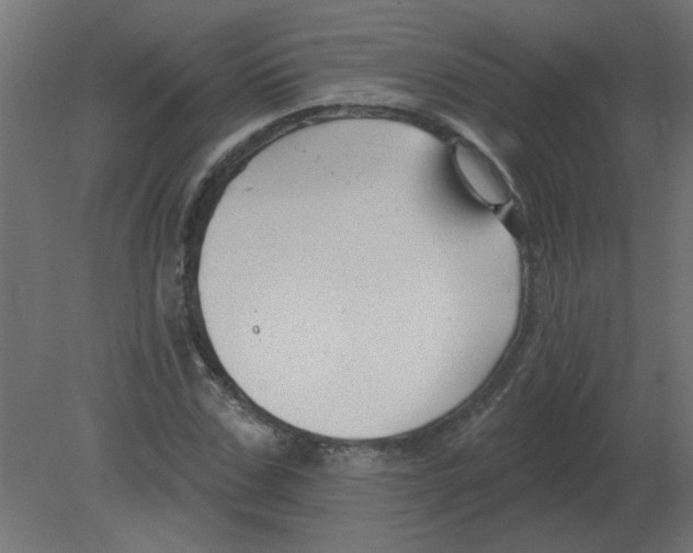 X0000080790971200701122143