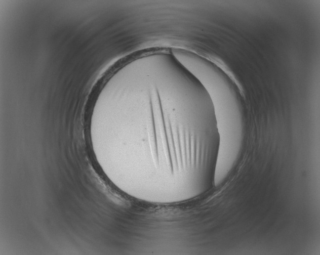 X0000080790972200701122143