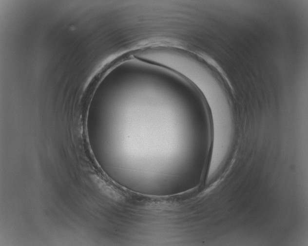 X0000080790973200701122143