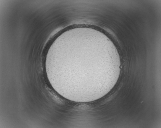 X0000080790974200701122143