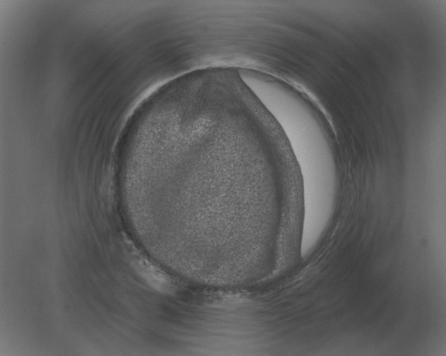 X0000080790975200701122143