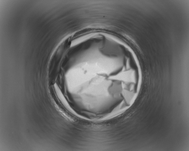 X0000080790976200701122143