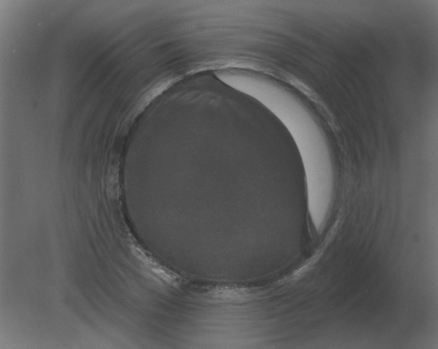 X0000080790977200701122143