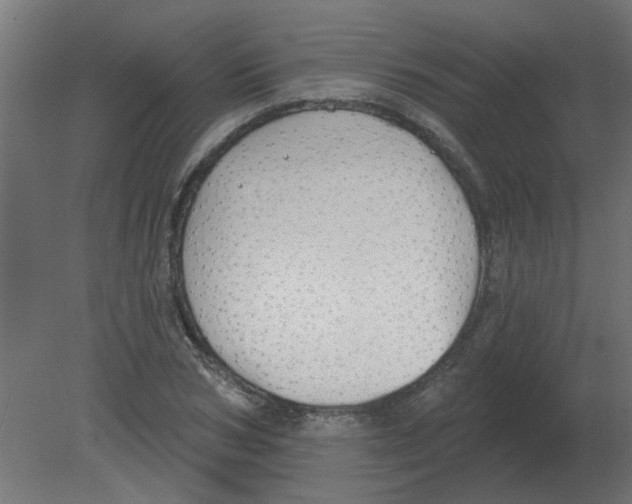 X0000080790978200701122143