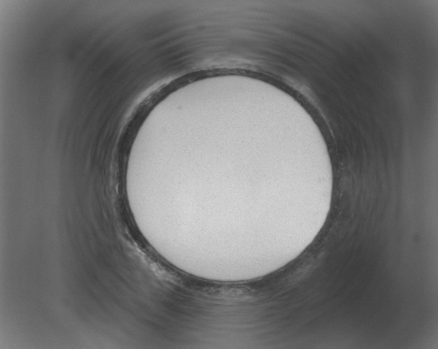 X0000080790979200701122143