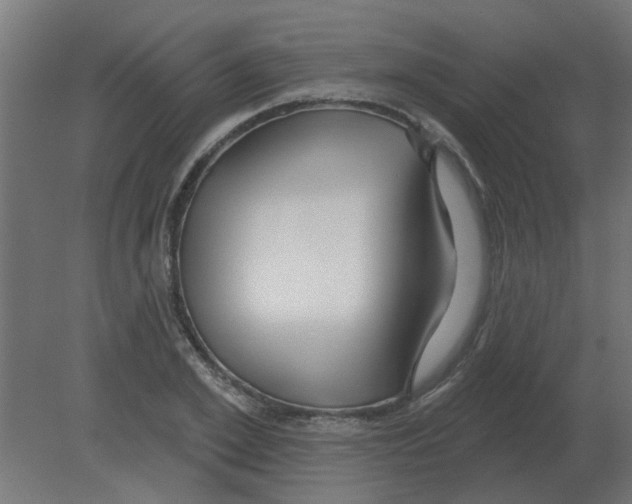 X0000080790981200701122143