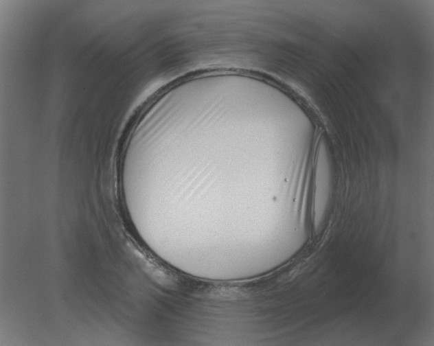 X0000080790982200701122143