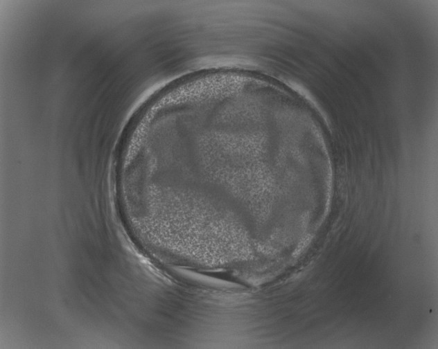 X0000080790983200701122143