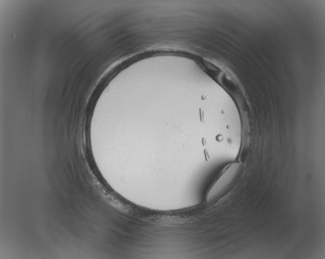 X0000080790984200701122143