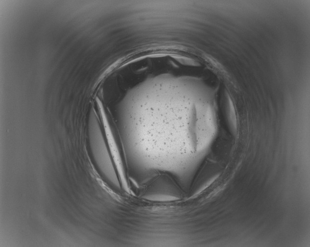 X0000080790985200701122143