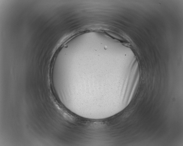 X0000080790986200701122143