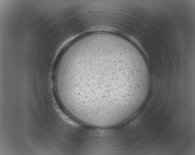 X0000080790987200701122143