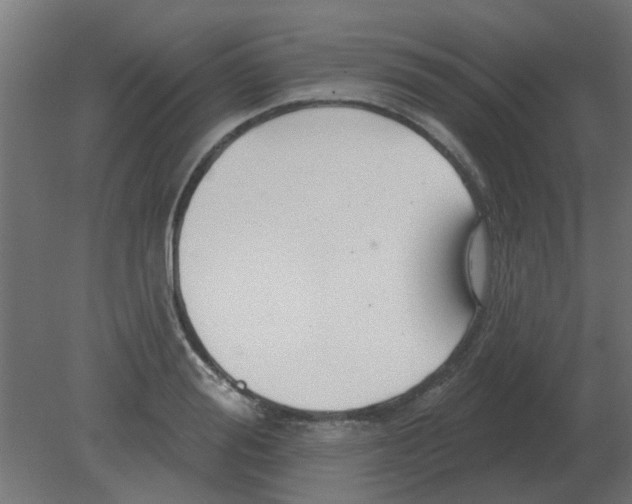 X0000080790988200701122143