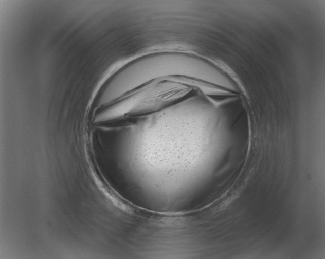 X0000080790989200701122143