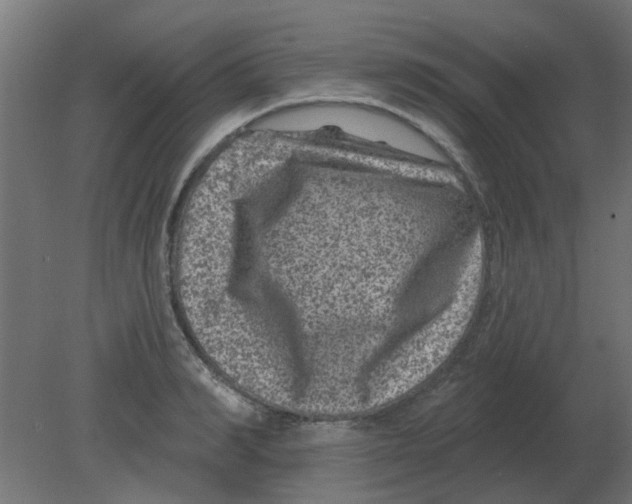 X0000080790990200701122143