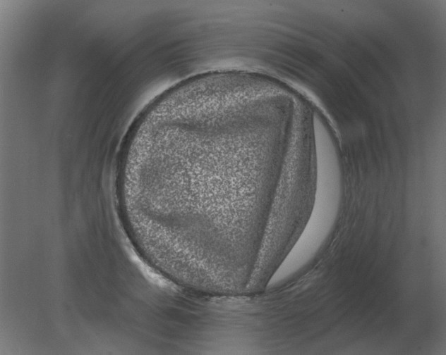 X0000080790991200701122143