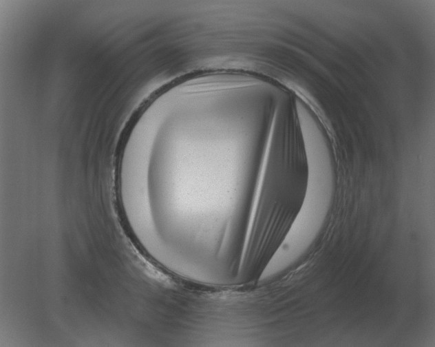 X0000080790992200701122143