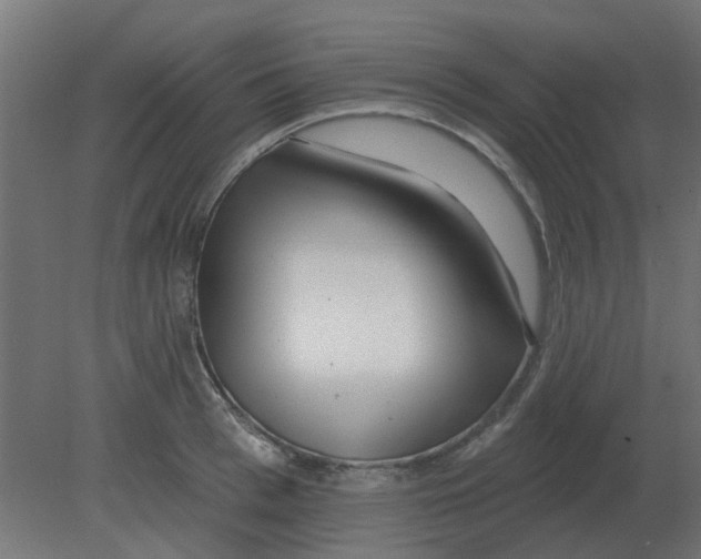 X0000080790993200701122143