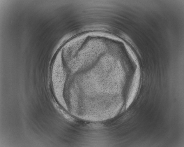 X0000080790994200701122143