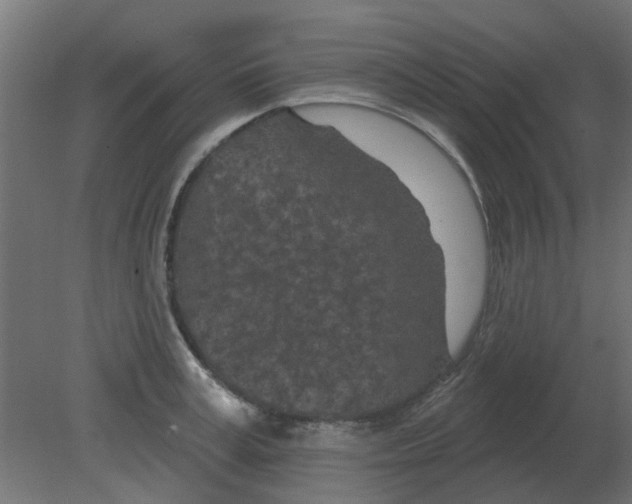 X0000080790995200701122143