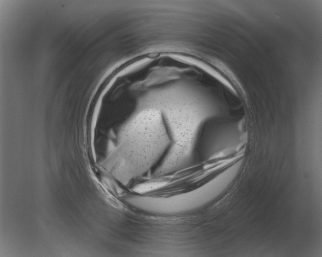 X0000080790996200701122143