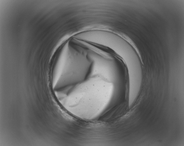 X0000080790997200701122143