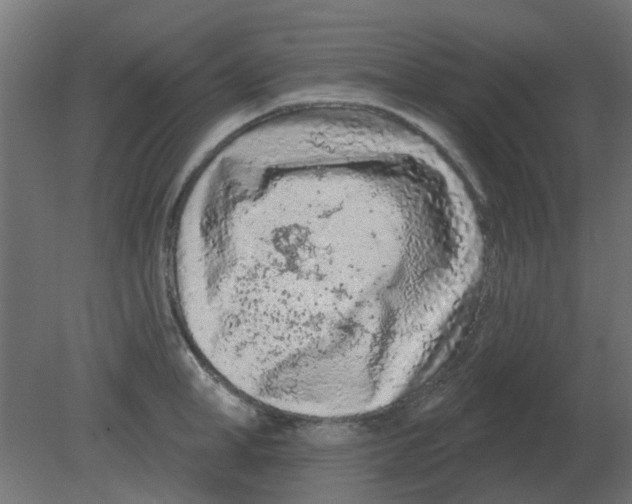 X0000080790998200701122143