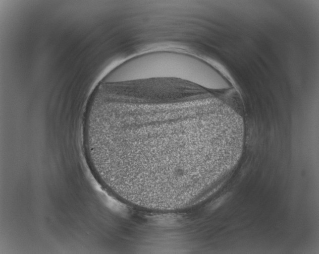 X0000080790999200701122143