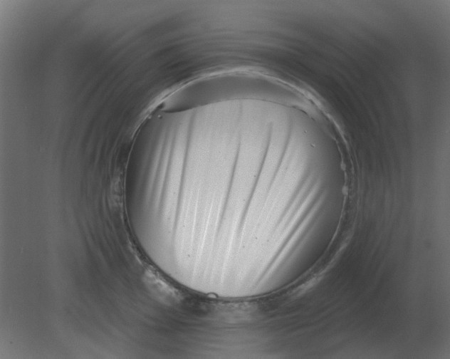 X0000080791001200701122143