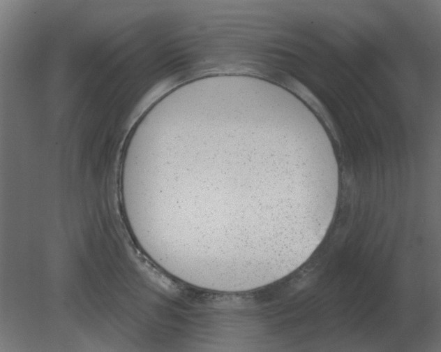 X0000080791002200701122143