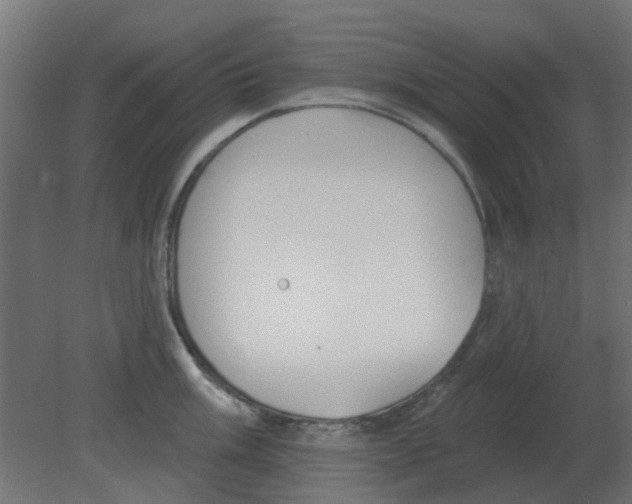 X0000080791003200701122143