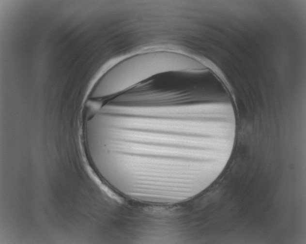 X0000080791005200701122143