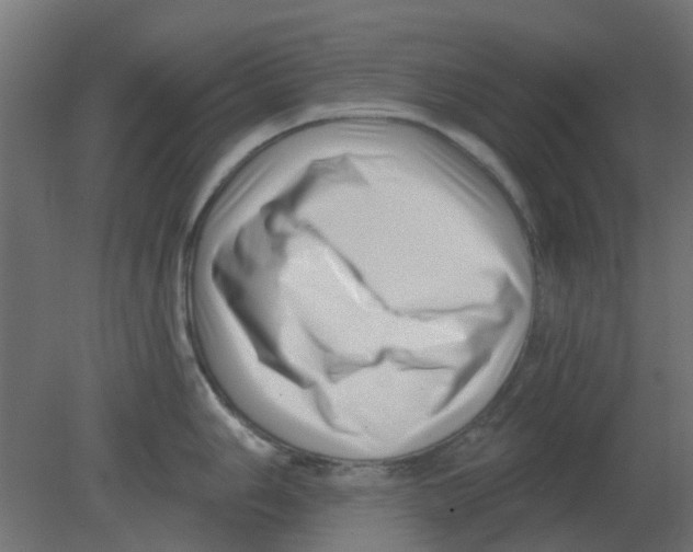 X0000080791006200701122143