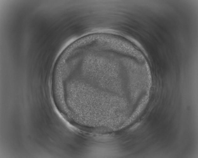 X0000080791007200701122143