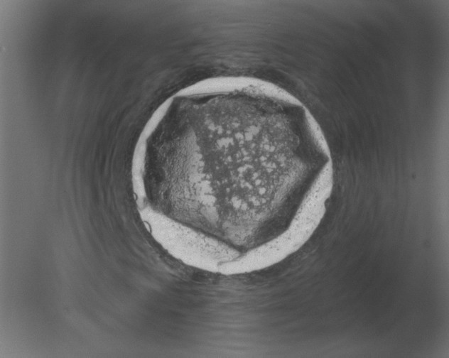 X0000080791009200701122142