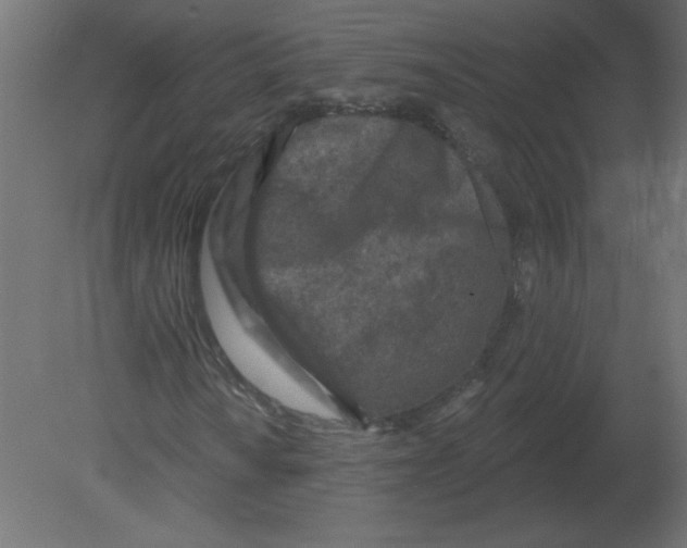 X0000080791010200701122142