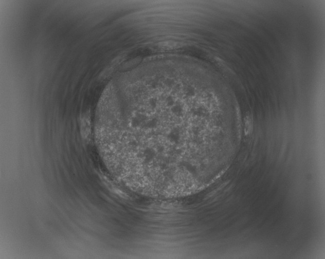 X0000080791011200701122142