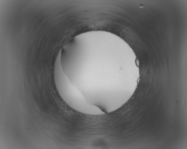X0000080791012200701122142