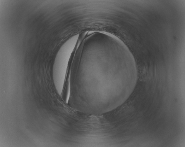 X0000080791013200701122142