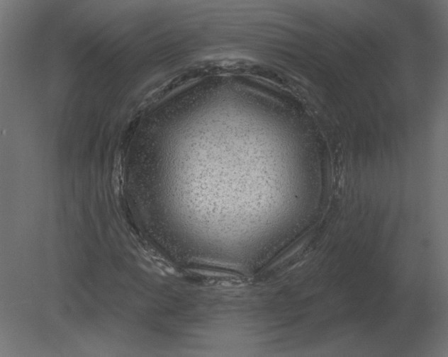 X0000080791014200701122142