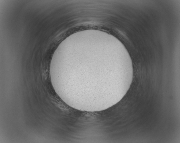 X0000080791015200701122142