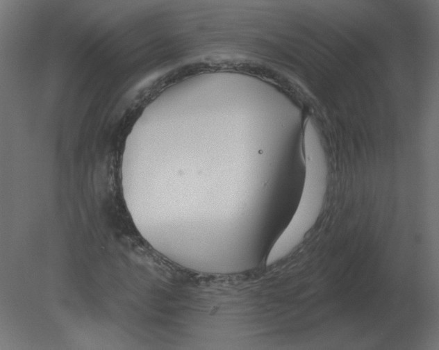 X0000080791016200701122142