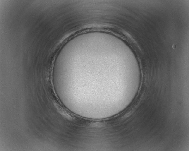 X0000080791017200701122142